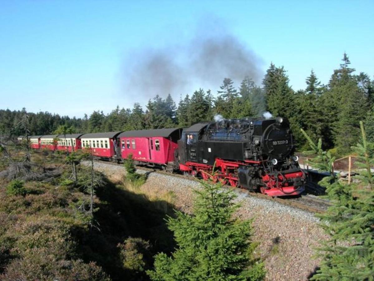 Appartamento Harzhaus Rauch Braunlage Esterno foto